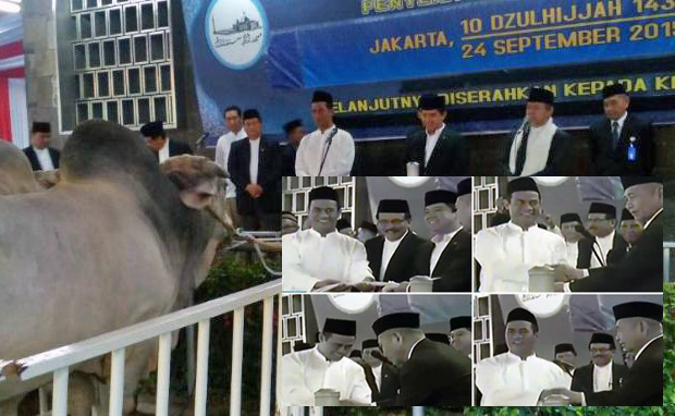 Mentan, Menpan Wakili Presiden dan Wapres Serahkan Sapi Kurban ke Mesjid Istiqlal